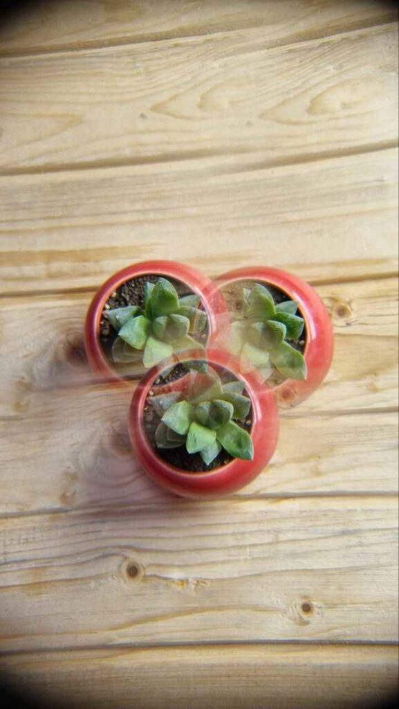 لنز موبایلی سه ضلعی